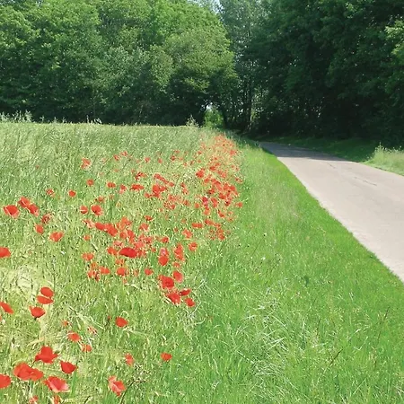 2 Bedroom Amazing In Nyaraló *